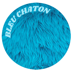 bleu chaton